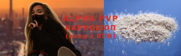 стаф Пересвет
