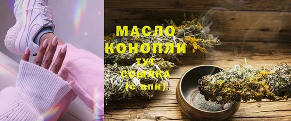стаф Пересвет