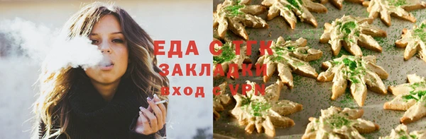 стаф Пересвет